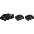 Bosch 18 V lader + 2 Bosch...