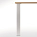 Set van 4 tafelpoten 263R vierkant 60x60mm inox look hoogte 710mm / pce