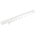 Dorma TS 98 XEA geleiderail...