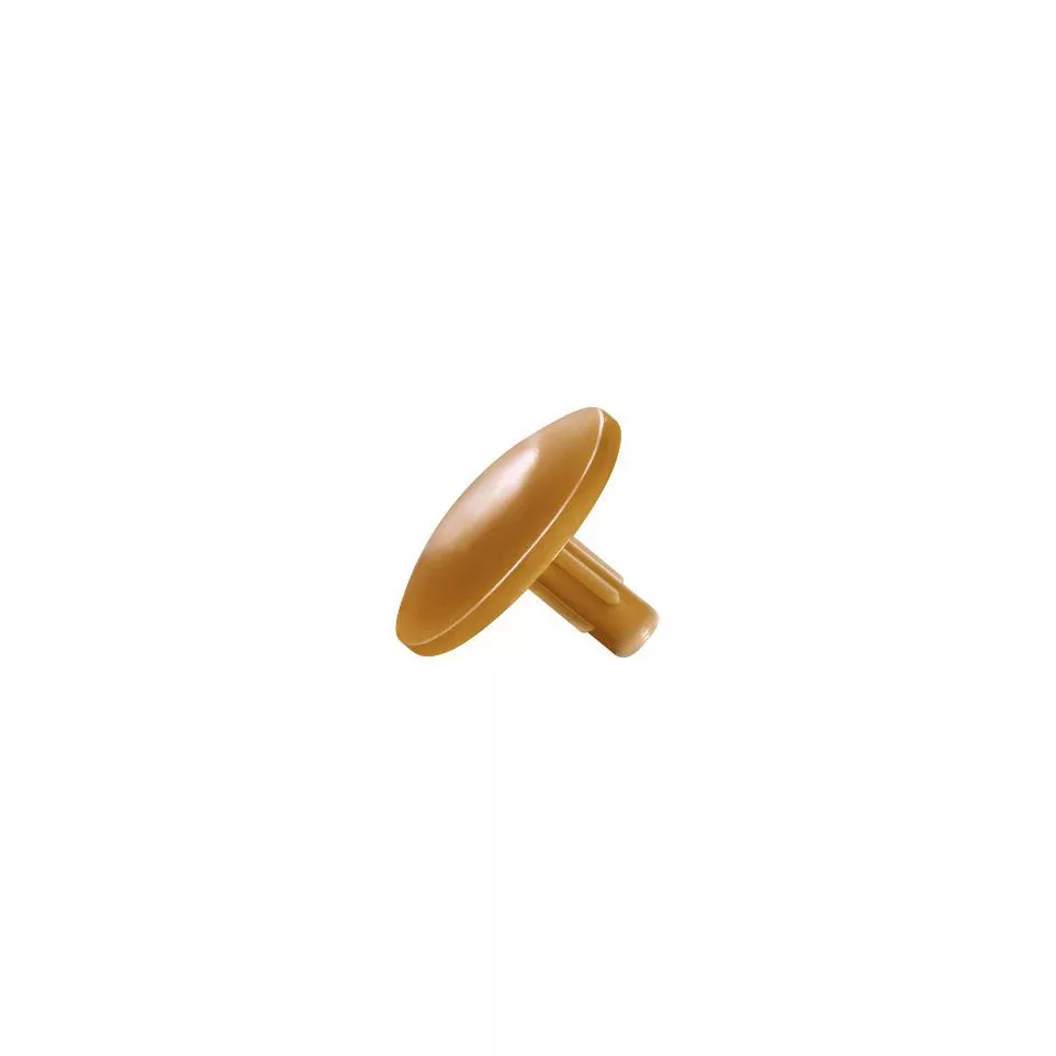 SPAX Brown Pozidriv Zinc-Plated Screw...