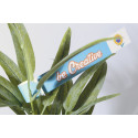 PlantTag wit  custon made plant label 