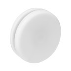 Royo blanc  Yo-yo en en RPS 
