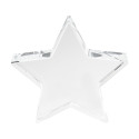 Crystar transparant  trofee ster 