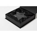 Crystar transparant  trofee ster 