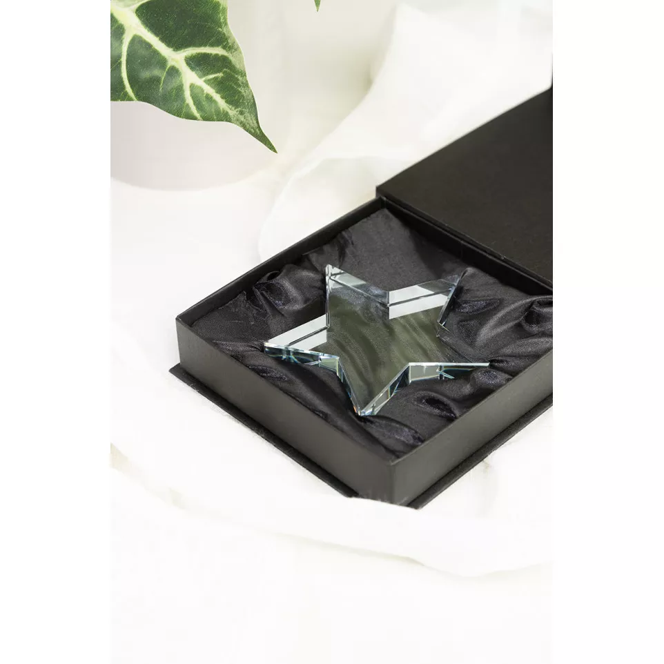 Crystar transparent  star trophy 