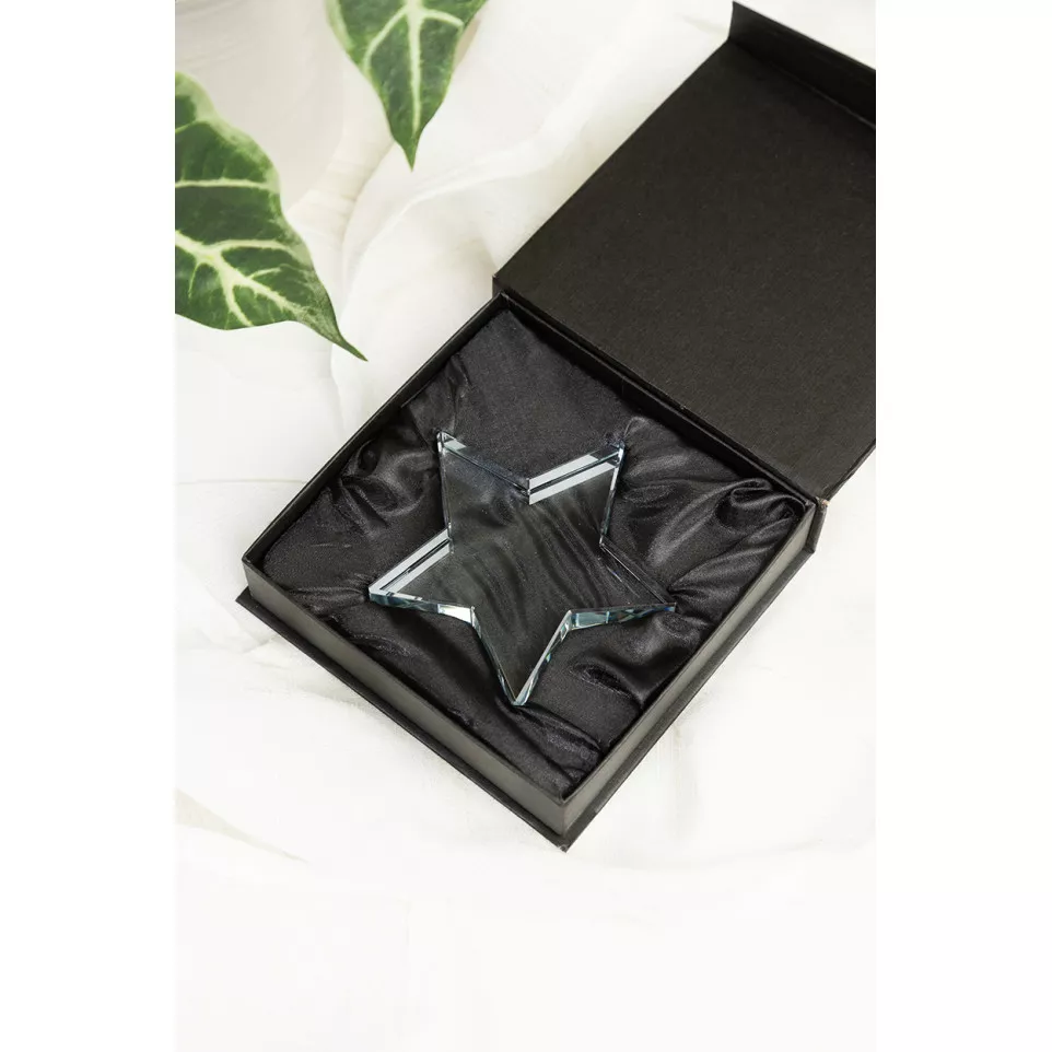Crystar transparant  trofee ster 