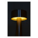 Flanagan Oro rose  table lamp 