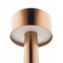 Flanagan Oro rose  table lamp 