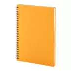 Strobus A5 orange  notebook 