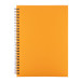 Strobus A5 orange  notebook 