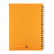 Strobus A5 orange  Carnet de notes 
