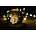Borealis transparent natural Christmas light globe 