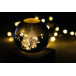 Borealis transparent natural Christmas light globe 