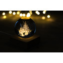 Borealis transparent naturelle Globe lumineux de Noël 