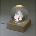 Borealis transparent naturelle Globe lumineux de Noël 
