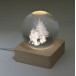 Borealis transparent naturelle Globe lumineux de Noël 