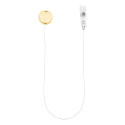 Backstage gold  badge holder 