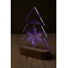 Woodify Xmas transparent naturelle Trophée lumineux LED sapin 