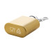 Vasco gold  RSS hip flask keyring 