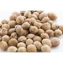 PitHeat Ear white  cherry seed pillow 