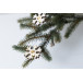 Polaris natuurlijk  Kerst licht touwtje 