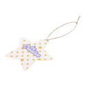 CreaJul Seed natural  custom seed paper Christmar tree ornament, star 