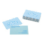 Visicard Safe blanc  Cartes...