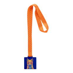 Subdal Colour Square bleu transparent  Médaille personnalisée 