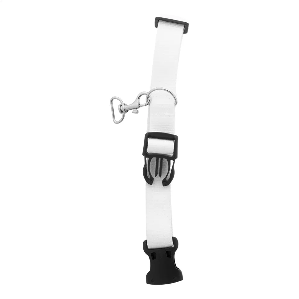 Ziggy white  custom dog collar 