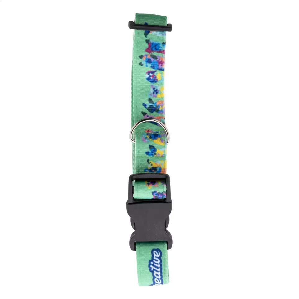 Ziggy white  custom dog collar 