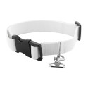 Ziggy white  custom dog collar 