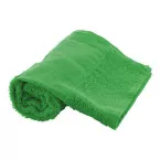 Terry S groen  Katoenen badstof handdoek - 30×50 cm 