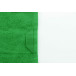 Terry S vert  Serviette 30x50cm 