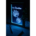 Woodiframe naturelle transparent Trophée lampe LED 