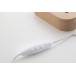 Woodify transparent natural LED light trophy, custom shape 