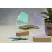 Woodify transparent natural LED light trophy, custom shape 