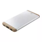 Ralubo Five silver  power bank 