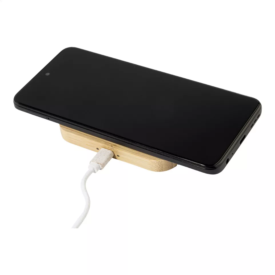 Cabsly Plus natuurlijk  oplader set 