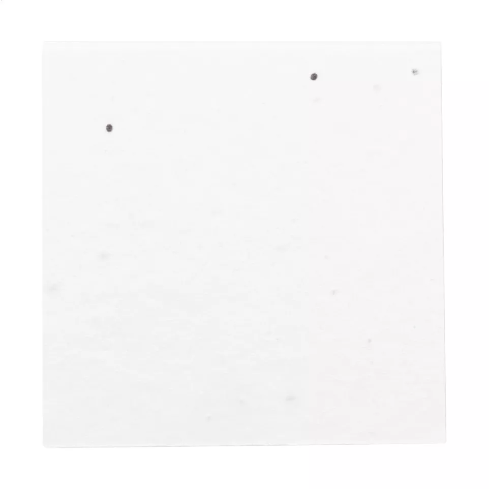 CreaStick Seed Note M blanc  Bloc-notes 