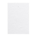 CreaStick Seed Combo A white  custom sticky notepad 