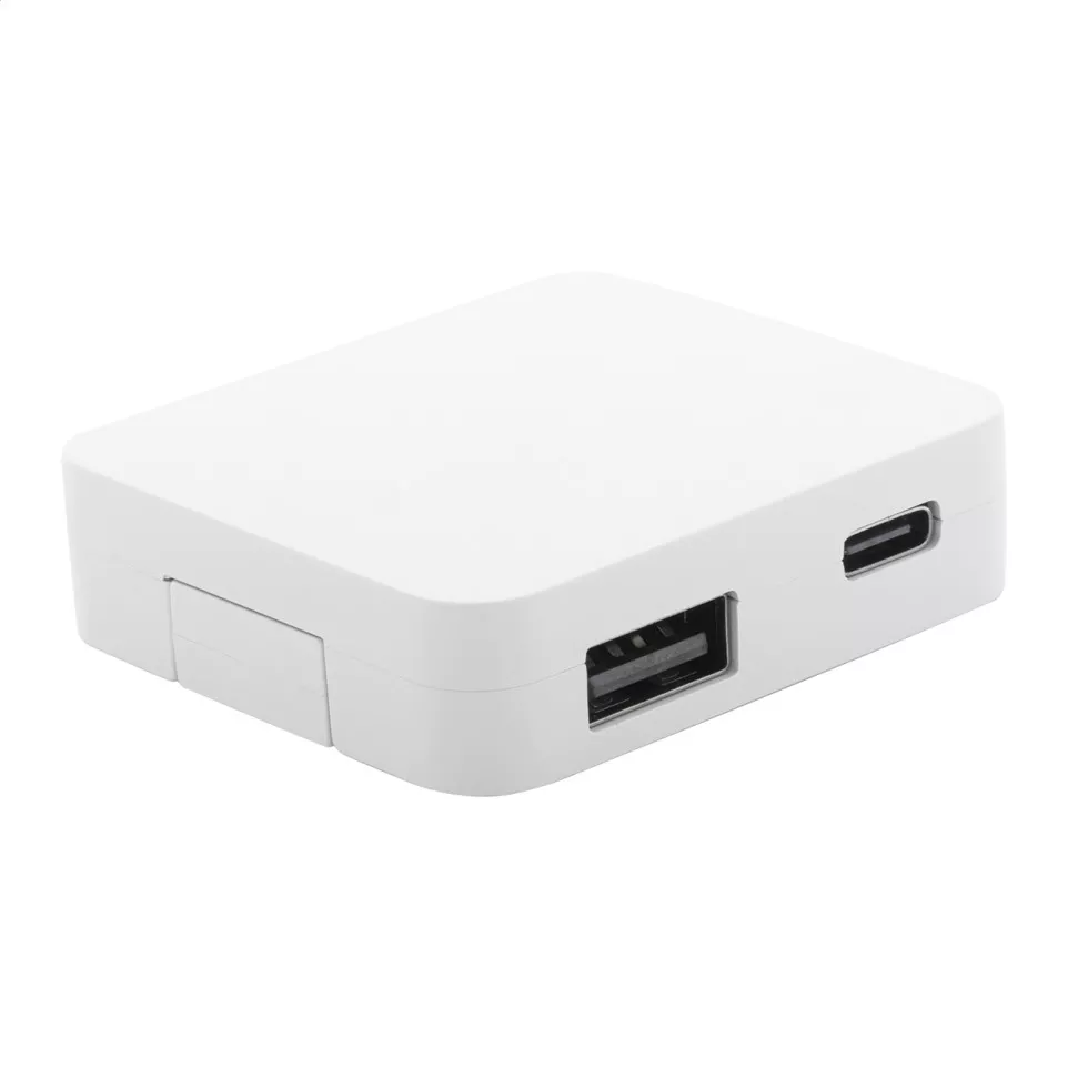 Rahubu blanc  Hub USB RABS 