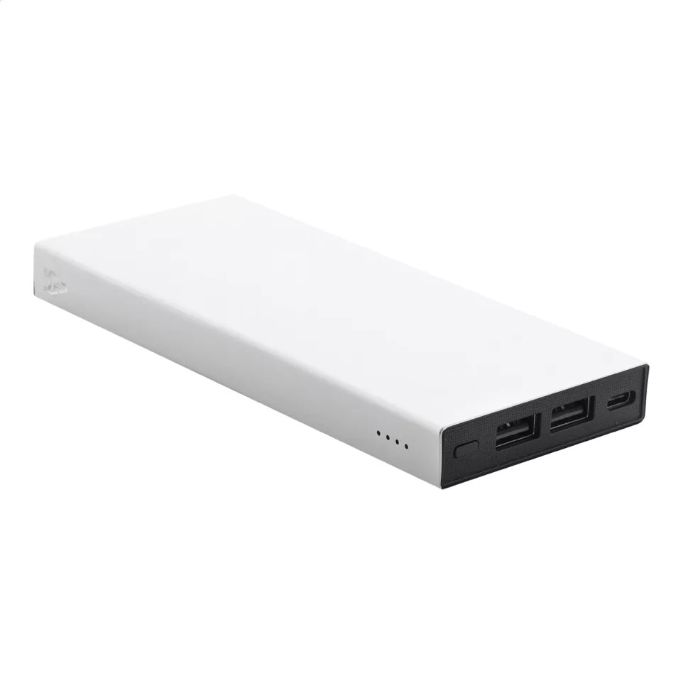RaluTen silver  power bank 