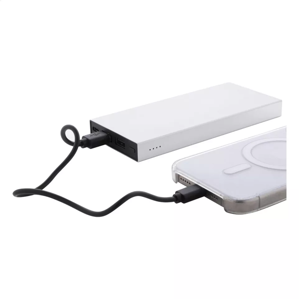 RaluTen silver  power bank 