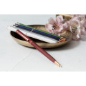 Recepto rouge  Stylo bille 