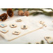 Galois Creative naturelle  Jeu de comptage 