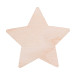Woofri Xmas natural  custom Christmas fridge magnet, star 