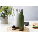 Recouver groen  geïsoleerde fles 