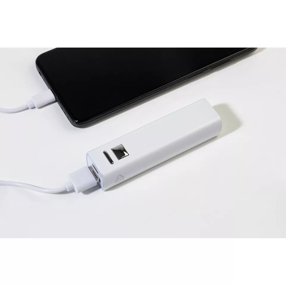 RaluBase wit  powerbank 