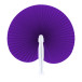 Vasto violet  éventail 