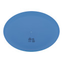 Reppy blue  RPP frisbee 